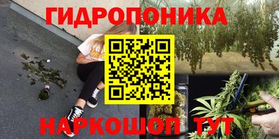 сатива Комсомольск-на-Амуре